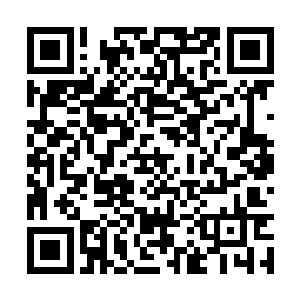 叶灿就以极快的速度冲向了前方的第一个傀儡人偶二维码生成