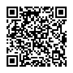叶然一行人与魔教剩下的子弟都是非常有默契的没有出手二维码生成