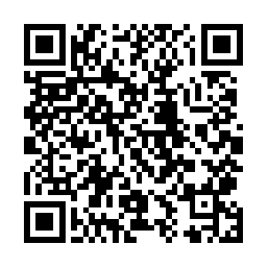 叶然也不介意一身都是水的火猴直接就是一把将它给抱起二维码生成