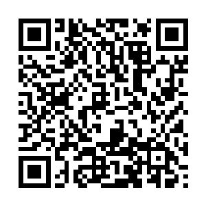 叶然对于风仙子能够迅速突破到通灵境中期这件事二维码生成