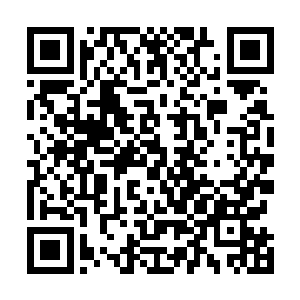 叶然看见远处的迷雾当中有着不少火红色的身影窜了出来二维码生成