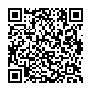 叶然耐心将里面的关于箭术的介绍内容全部读完二维码生成