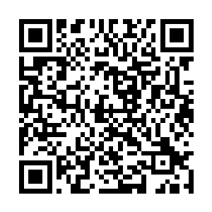 叶然自然是知道了那将火猴给打成重伤的人是谁了二维码生成