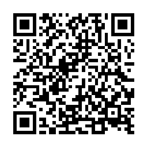 叶王氏和叶老夫人更是气急败坏的瞪着叶文华尖叫起来二维码生成