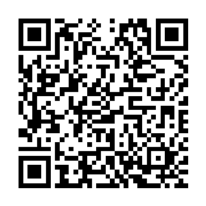 叶玥即使想要追赶但是那浑身上下的伤痕也让她痛苦的动弹不得二维码生成