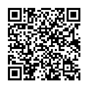 叶璃一行人在碎雪关前后停留不到一个时辰又开始往回敢去二维码生成