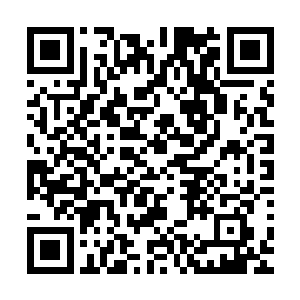 叶璃一行人风尘仆仆的赶到飞鸿关的时候已经是第二天晚上了二维码生成