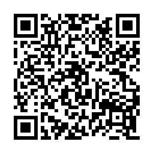 叶璃便起身对坐在墨景黎身边的叶莹淡淡一笑道二维码生成