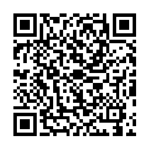 叶璃冷眼看着下面的人你来我往招招欲致人于死地的打发二维码生成