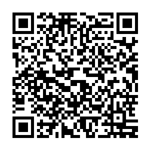 叶璃只是稍稍回忆了一下便想起来这两个宫女正是柳贵妃身边的贴身大宫女二维码生成