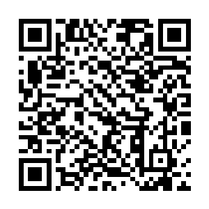 叶璃回头就看到任琦宁含笑站在楼梯口看着窗口的两人二维码生成