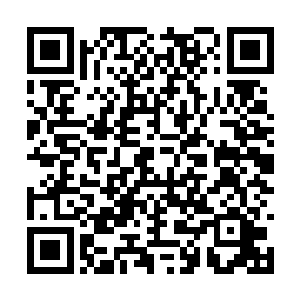 叶璃坐在溪边的时候上悠闲的望着潺潺流过的消息二维码生成