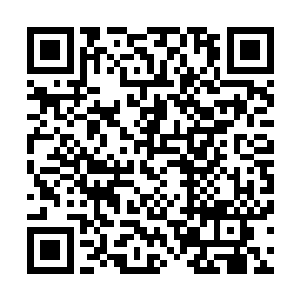 叶璃将两个小宝宝送回了房间安置好才转身去了前院的书房二维码生成