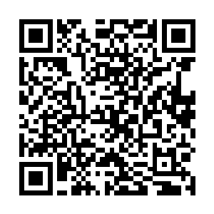 叶璃已经命人准备好了一些墨修尧爱吃的膳食摆在桌上二维码生成