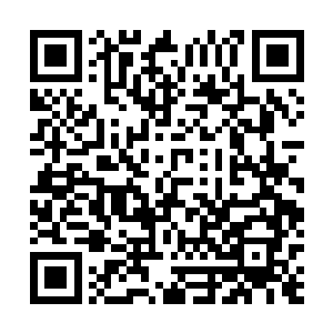 叶璃忙着处理王府的事务以及黑云峰下那一群精英的训练二维码生成