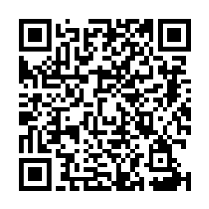 叶璃悠然的倚靠在椅子里喝着刚刚炖好的补品笑眯眯的道二维码生成