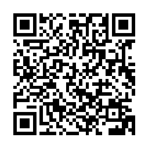 叶璃抬起头来望着上方男人俊雅却带着几分风霜消瘦的容颜二维码生成