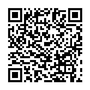 叶璃方才转身看向跟在任琦宁身边亦步亦趋的蓝衣女子道二维码生成