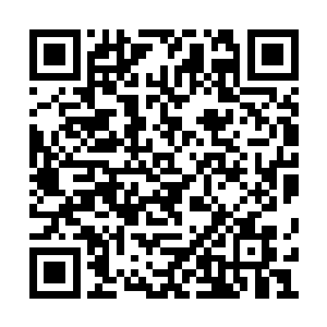 叶璃看了看舅母送过来的这件雪蚕蓝蝶缂丝衣衫二维码生成