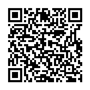 叶璃看着正坐在院里的大树下独自喝茶的林大夫笑道二维码生成