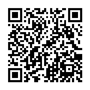 叶璃神色从容的接过呼延律递过来的弓箭试了试二维码生成