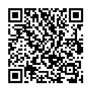 叶璃神色平静的坐在营帐中浏览着各地送来的战报和折子二维码生成