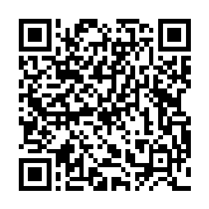 叶璃自然知道叶老夫人这是对这几日徐家的行为不满了二维码生成