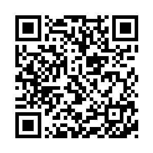 叶璃这副模样跟在记忆中的差别实在是太大二维码生成