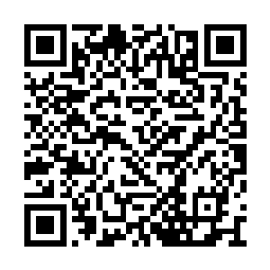 叶秋一脚就踢掉了第一个冲上来男子手中的铁棍二维码生成