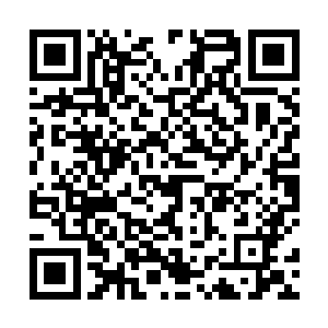 叶秋一行人的车队就来到了一个看似是临时驻地的地方二维码生成