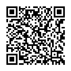 叶秋也不知道那三名米国士兵在外面跟人谈什么二维码生成