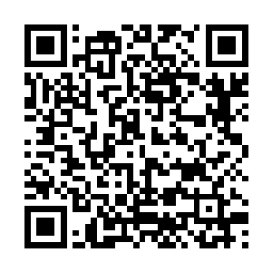 叶秋会在某天宣布这样一个足矣让他们兴奋不已的决定二维码生成