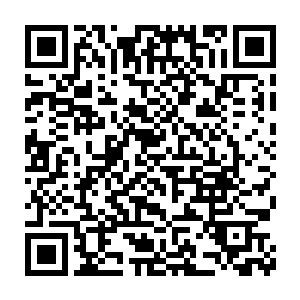 叶秋几人开始有些担忧两个孩子会不会被这外貌美丽的世界给迷惑了二维码生成