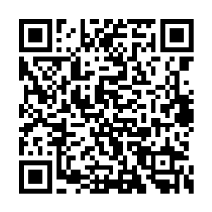 叶秋可不相信这么简单的道理成阳公主没有想到二维码生成