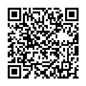 叶秋和洛凌烟两人都没有说服年文耀出山的把握二维码生成