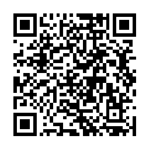 叶秋和洛凌烟大概是属于只会一些花架子那种人了二维码生成