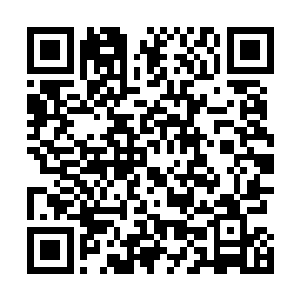 叶秋在感叹八卦掌走位神奇的同时也在暗骂着燕楠的无耻二维码生成