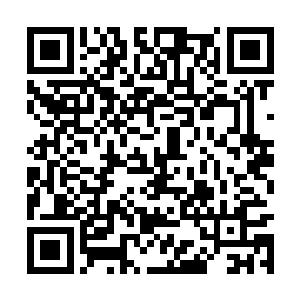 叶秋在提出那种有俩种方式可以完成的训练任务时二维码生成