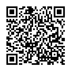 叶秋在每日电话煲粥的过程中告诉了众女房子已经建好了二维码生成