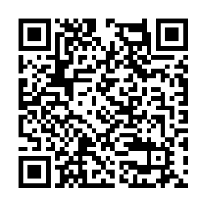 叶秋将生死间的厮杀和他七零八凑的武术融为一体二维码生成
