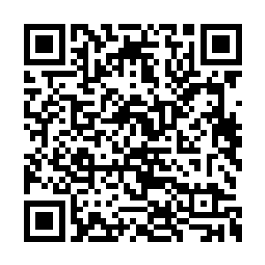 叶秋已经认为自己对这些士兵没什么好训练的了二维码生成