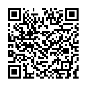 叶秋带着两百多人出现在了中海市龙二的地盘上二维码生成