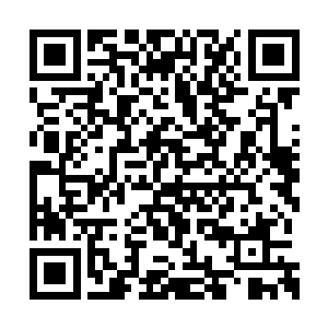 叶秋才真正对这个传奇人物有了一些深入的了解二维码生成