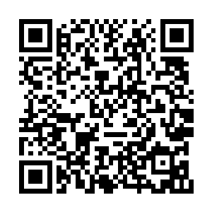 叶秋等十几人相互背靠背由于广场之中没有掩体二维码生成