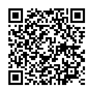 叶秋虽然知道不能够将这两个小孩子当做一般的小孩子来看待二维码生成