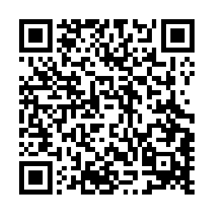 叶秋这才转头看着那些还在傻乎乎看着自己的七十八名士兵二维码生成