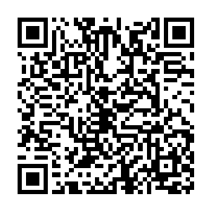 叶秋遥远的看到那个身材高大魁梧的男子身材笔直的站在叶伯面前二维码生成