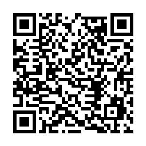 叶笑势必不能拿出来最高品质的丹云级数续命灵丹二维码生成