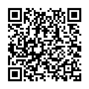叶笑甚至都没有再检查一下今天的收获是有些什么二维码生成