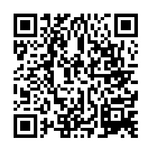 叶笑眼神模糊地望着苏夜月窈窕的身影横在了剑尖前面二维码生成